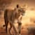 VIJAY K