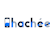 Hachee