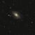 Fede M