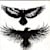 Aashish K
