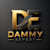 Dammy expert