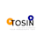 TOSIN