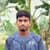 Albin S