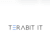 TERABIT IT