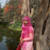 Ayesha A