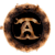 T.A.O Studio