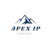 APEX IP CONSULT