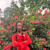 FaithyTech