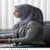 Asma Meer