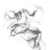 Mhz R