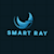 Smart R