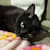 Romy