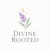 Divine Rooted
