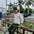 Satyam.p