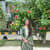 Nischitha M