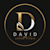 david