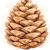 nolarix