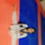 Anshu s