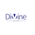 Divine Dev Hub