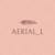 Aerial L