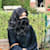sania zafar