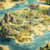 Alantenorris