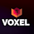 Avi Voxel