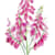 Creativefloret