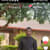 bernard ochi