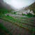 george_pelletie