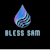 Blessing S