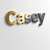 Casey V