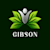 Gibson