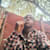 Princewill.M