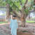 Mudassar Iqbal