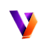 Viziblex