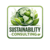 maotin