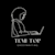 Temi T