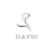 david