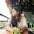 Anjali Singh