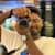 Taresh H.
