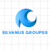 Silvanus Groups