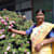 padma
