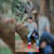 Abdullah Basha