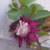 Geeta verma