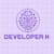 Developer X