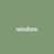 wisdom pixel