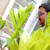 sandeepwagh289