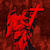 DDWGRAPHICS