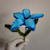 Shaheen M